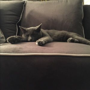 Meet your Posher, Maia